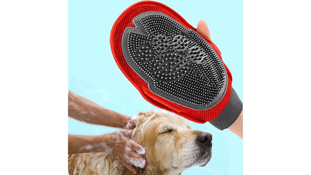 Groom Senior Dogs With Arthritis: A Comfort-First Guide