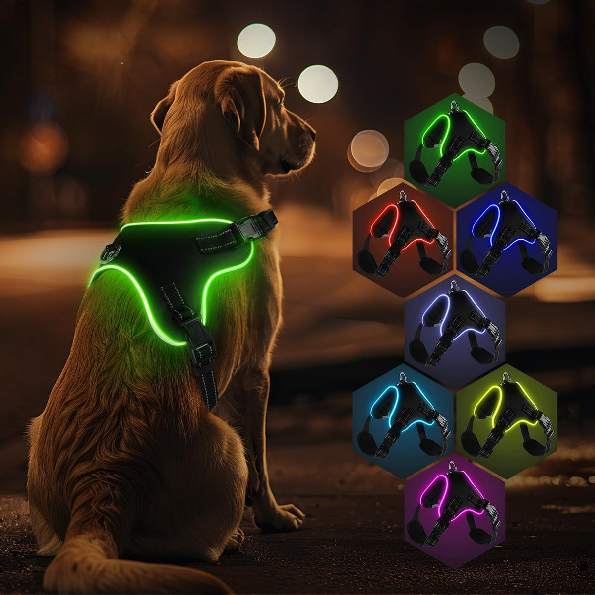 Light Up Dog Harness No Pull Dog Harness Rechargeable Lighted Pet Vest Harness for Night Walking Reflective Dog Vest Glow Dog Collar Adjustable Soft Padded Leash 7 Colors Changing 3 LED Modes (M)