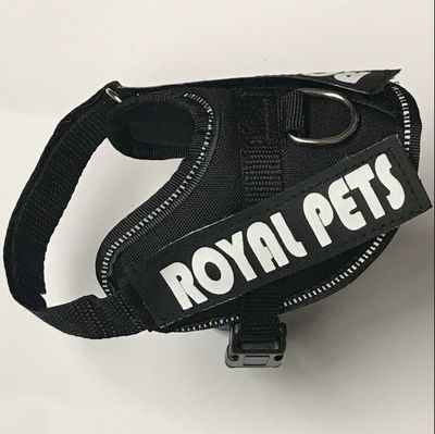 Large Dog No-Pull Harness for Huskies and Goldens