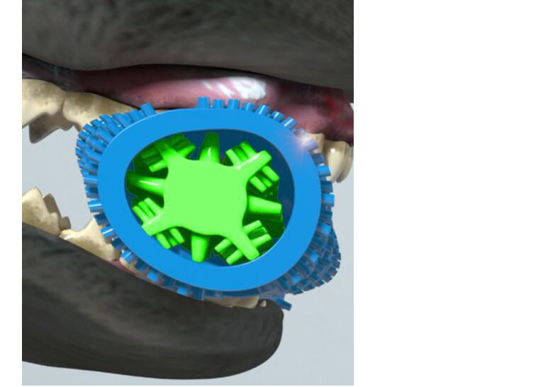 Pet Tooth Cleaning Rubber Chew Toy for Cats and Dogs